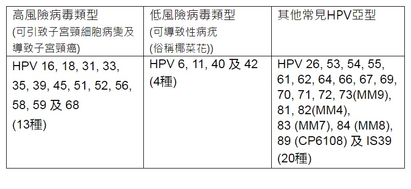 HPV病毒种类 HPV病毒种类